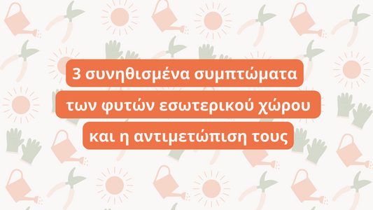3 συνηθισμένα συμπτώματα των φυτών εσωτερικού χώρου και η αντιμετώπιση τους