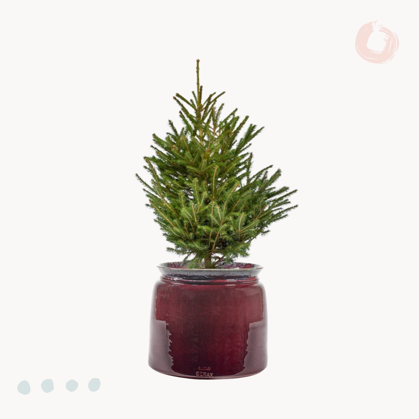 Χριστουγεννιάτικο δέντρο