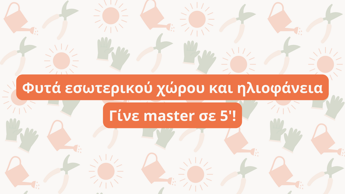 Φυτά εσωτερικού χώρου και ηλιοφάνεια. Γίνε master σε 5'!