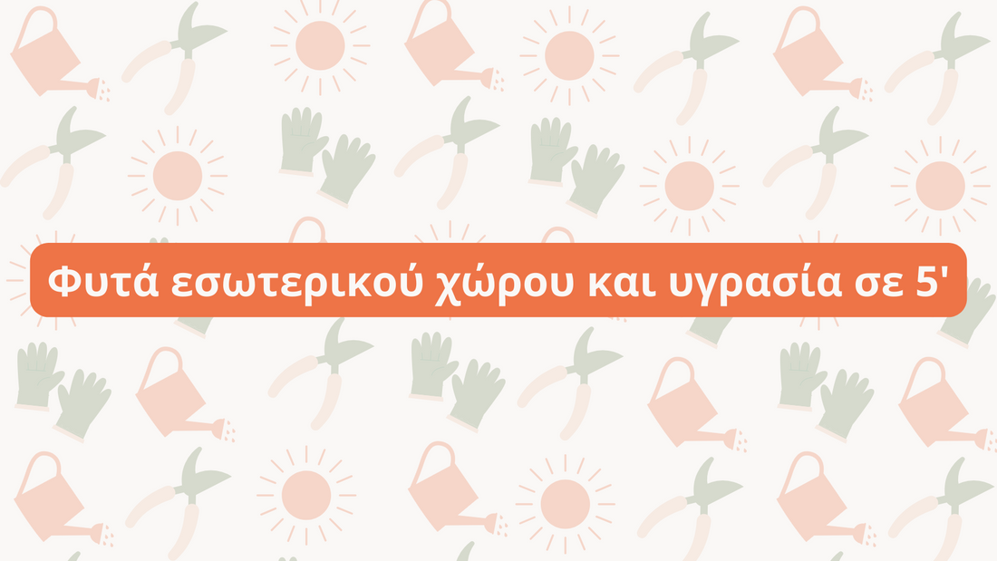 Φυτά εσωτερικού χώρου και υγρασία σε 5'