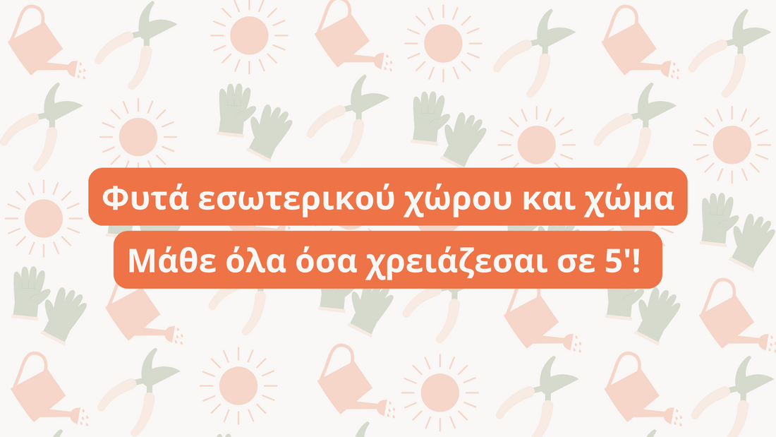 Φυτά εσωτερικού χώρου και χώμα. Μάθε όλα όσα χρειάζεσαι σε 5'!