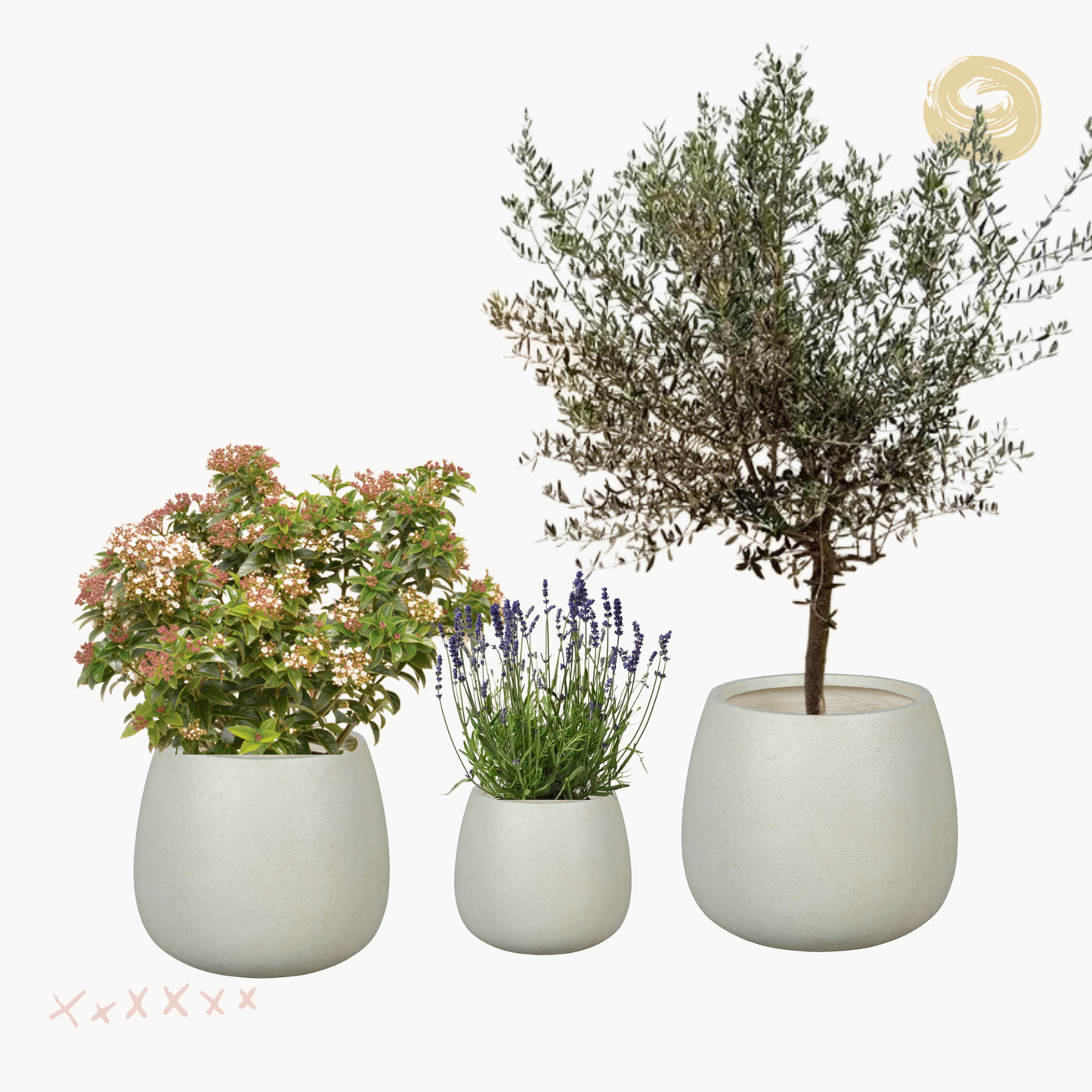 Outdoor garden