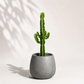 Euphorbia acrurensis