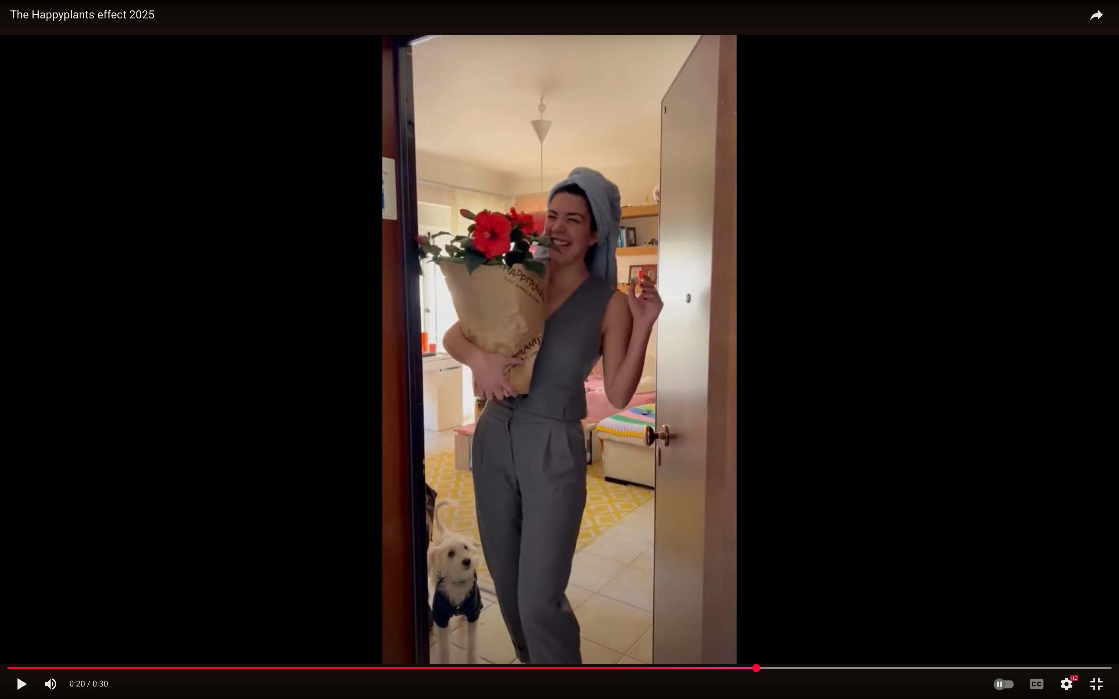 Φόρτωση βίντεο: 