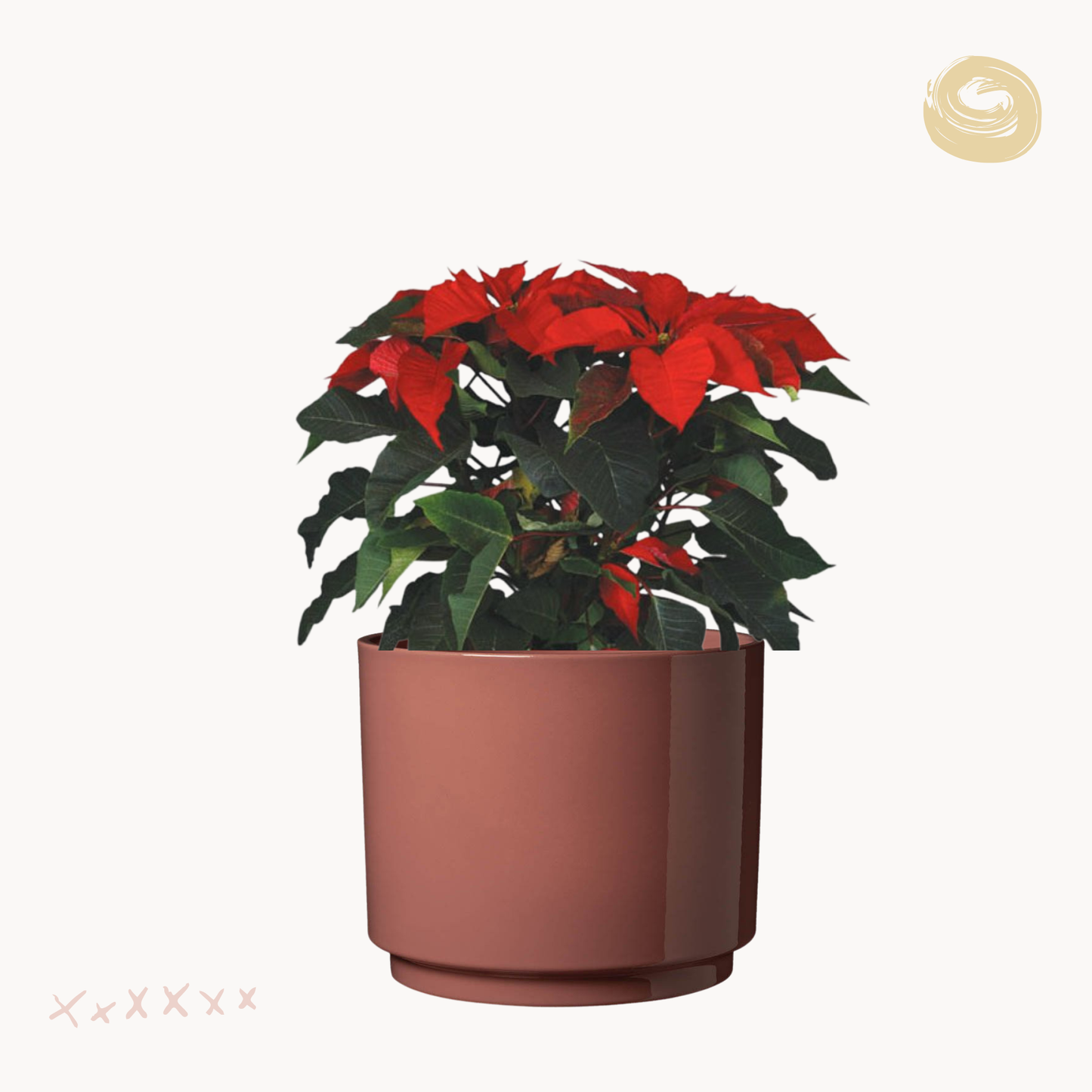 Αλεξανδρινό