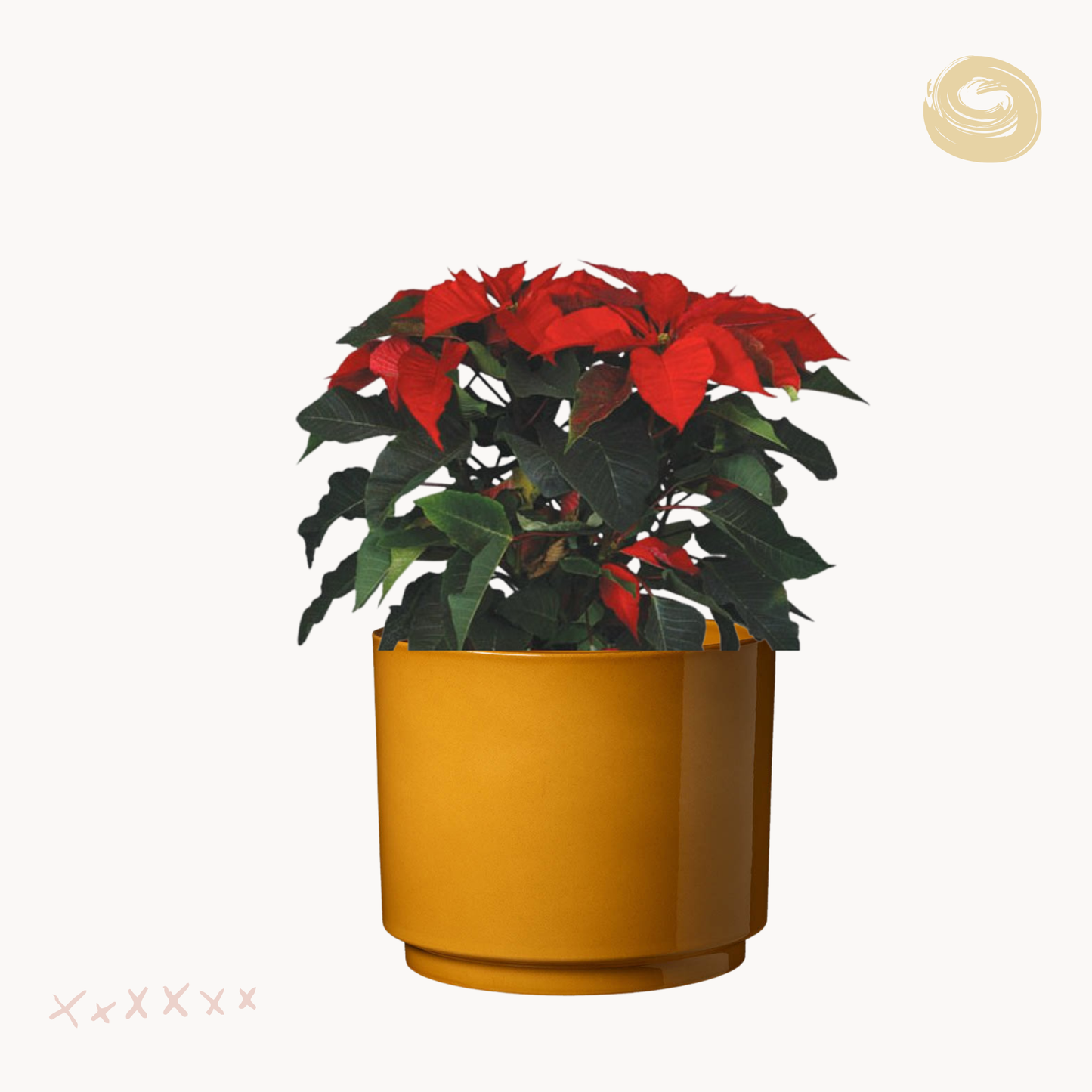 Αλεξανδρινό