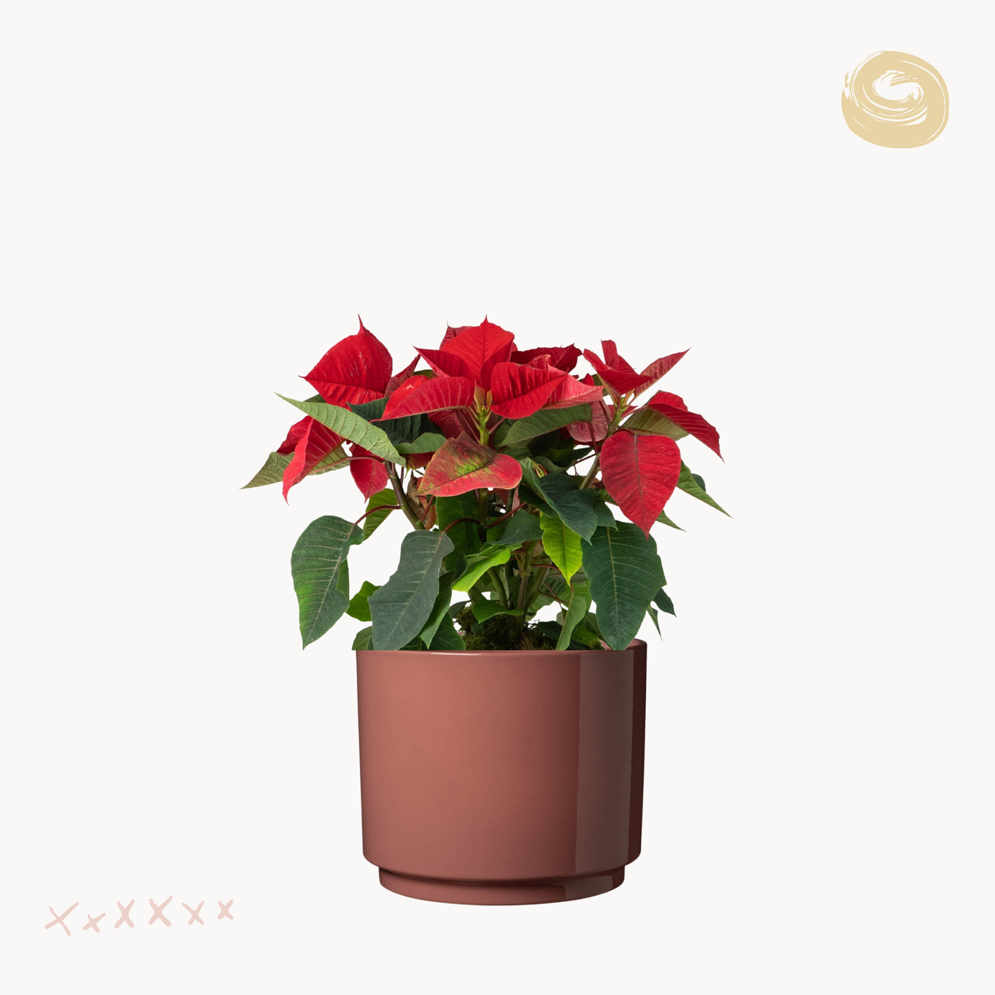 Αλεξανδρινό